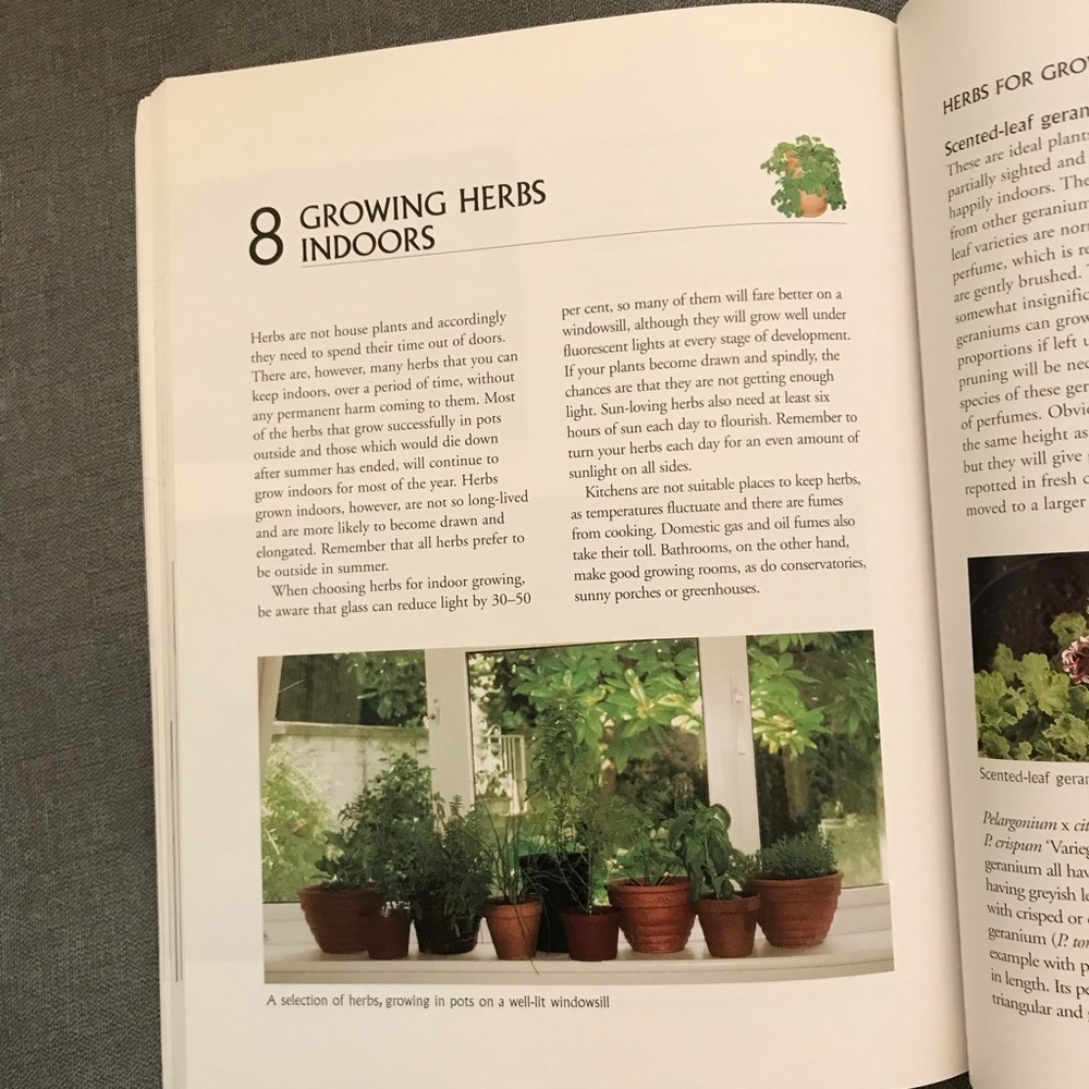 Beginners' Guide to Herb Gardening Book - Picture 3 of 8